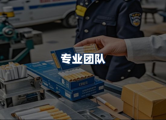 专业团队